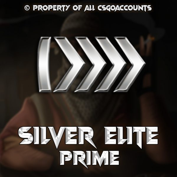 Silver Elite prime csgo