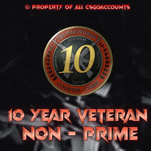 10 Year Veteran Coin